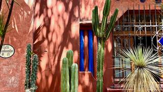 Der Löwen in México - die kulinarische Themenwoche foto