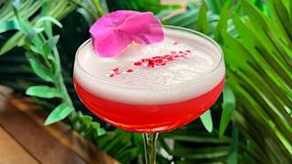 Try our Valentine's Cocktail, "Kiss From a Rose" photo