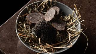 Italian Black Truffle Wine Dinner Photo