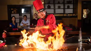 Foto von Kobe Japanese Steakhouse - Bruce B Downs Restaurant