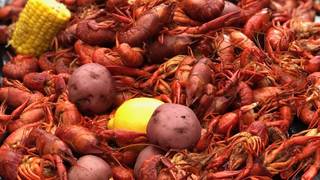 写真（3# of Lil' Easy Hot Crawfish To Geaux on Sunday）