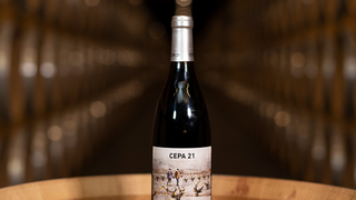 Cepa21 Wine Dinner foto