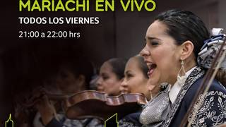 Mariachi en vivo foto