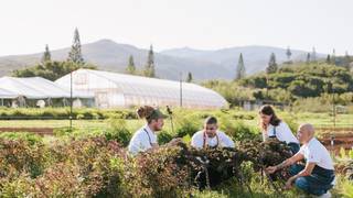 Kapalua Wine & Chef Series photo