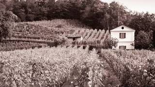 Nuovo X Le Piane Winery Photo