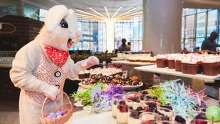 Very Eggcellent Easter Brunch Buffet Photo