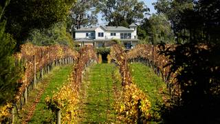 Tuscan Dreaming: Chef’s Lunch, Fri 21 March photo