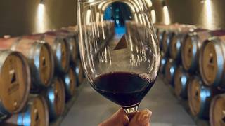 Justin Vineyards Wine Dinner foto