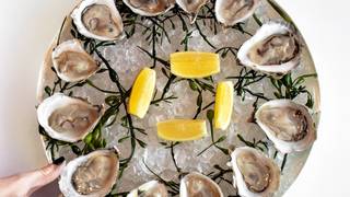 写真（$1 Oysters Mondays & Tuesdays in our *Bar & Lounge）