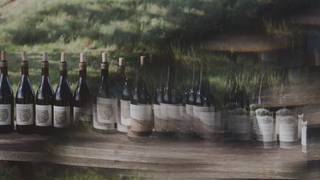Wine & Mindfulness Tasting Foto