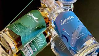 Gin Tasting Experience with Gindu Gin foto