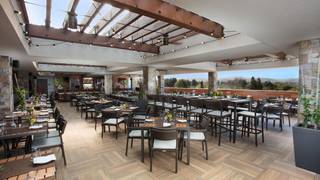 Sundays at Sky & Vine: Brunch Buffet & Live Music Photo