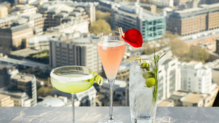 Drinks at the Iris Bar foto