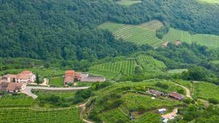 Discover Le Morette & Corte Volponi foto