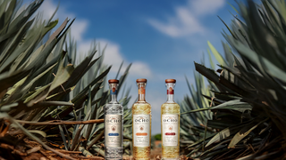 Tequila Dinner foto