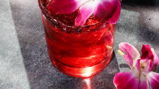 Margarita May: 50% OFF Margs Photo