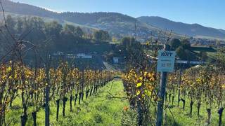 An Evening with Weingut Kopp foto