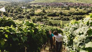 Vom Boden Wine Dinner foto