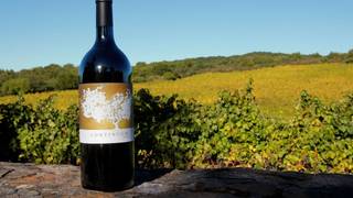 Carissa Mondavi and a Library Tasting of Continuum foto