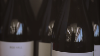 Sip by the Sea: A Pinot Masterclass foto