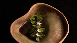 写真（Colombia on the Table）