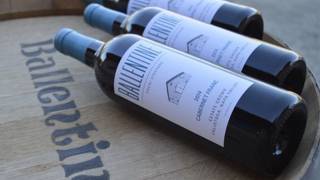 Ballentine Wine Tasting Dinner foto