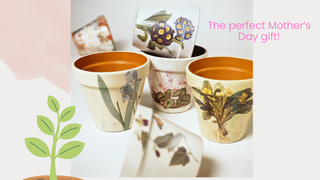 Paint Your Own Terracotta Pots! Photo