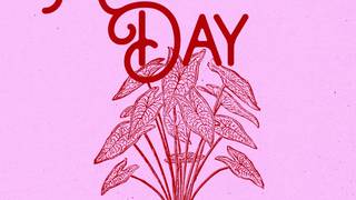 Dia de las madres photo