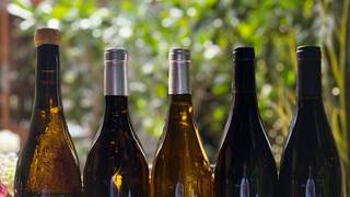 WINE TASTING: DISCOVER THE LOIRE VALLEY foto