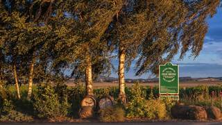 An Evening with David Coelho of Coelho Winery foto