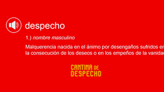 🎙️Cantina de Despecho Nights photo