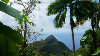 "TropiCaña" with Condor's Cove foto