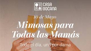 Día de las madres. Mimosas para todas. photo