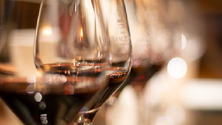Copy of Wine Pairing Photo