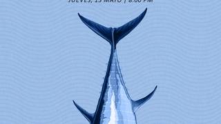 Bluefin Tuna Ronqueo foto