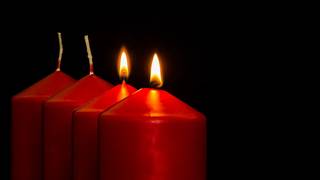 Weinprobe und Menü am 2. Advent 2025 foto