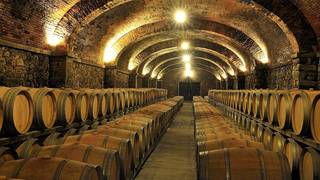 A Wine Night Journey foto