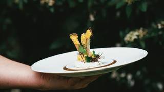 Summer Truffle Dinner Photo