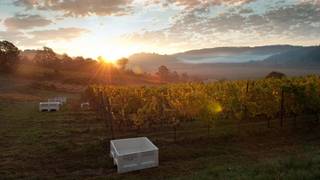 Coeur du Terre Wine Dinner Photo