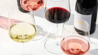 An Evening with San Marzano Wines foto