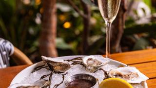 $1 Oysters Thursday foto