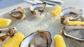SUNDAYS | Oyster Special Photo