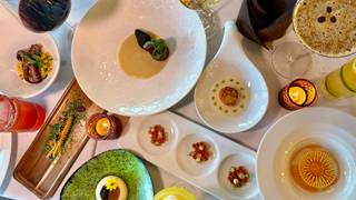 Savor Sarasota Summer Special Photo