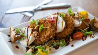 Tampa Bay Restaurant Week 2025 3-course prix fixe Photo
