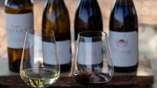 Wine and Bites with Appellation Wine Company Photo