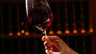 Wine Tasting with Professor Steve Stein Photo