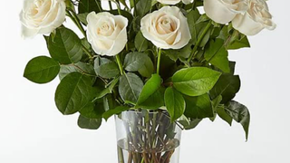 Flower Suprise Photo