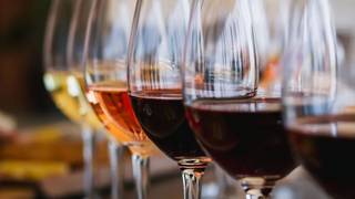 Willamette Valley, OR - Free Tasting Event Photo