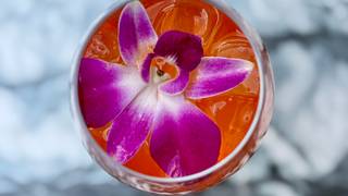 Spritz with Pride foto