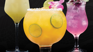 SIP INTO SUMMER Photo